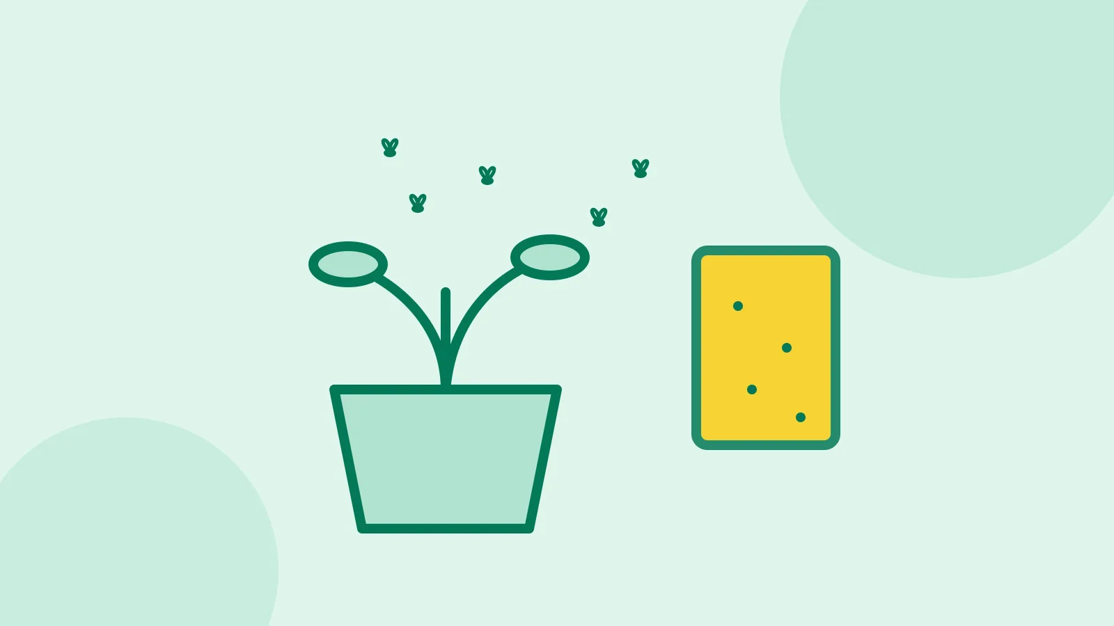 Illustration of a potted plant with small gnats flying above it and a yellow sticky trap
