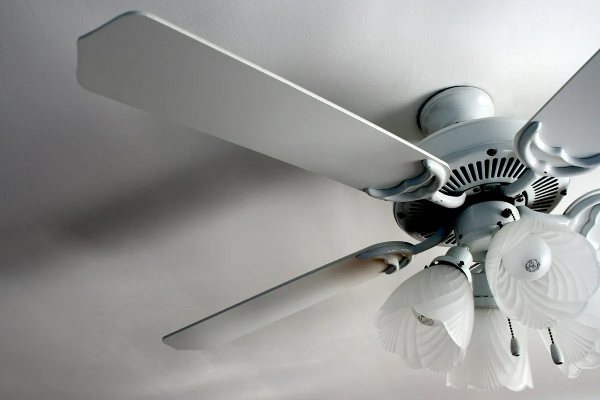 A ceiling fan with glass light shades