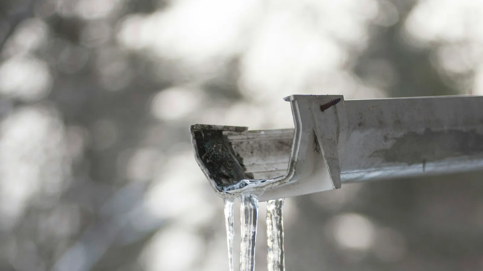 Metal gutter with icicles forming