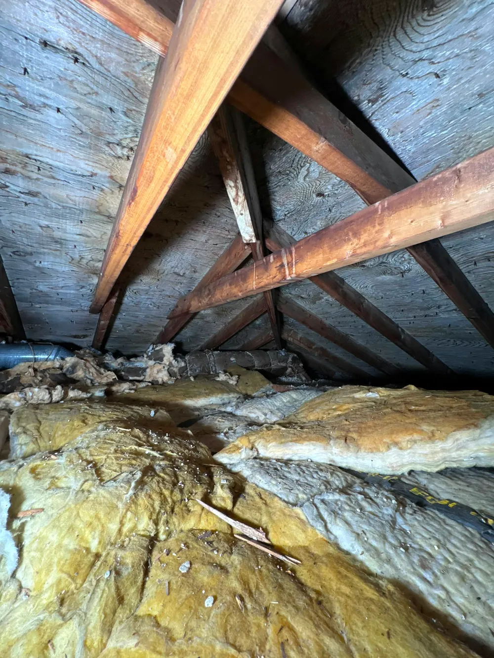 Yellow fiberglass insulation between wooden roof rafters in a dark attic