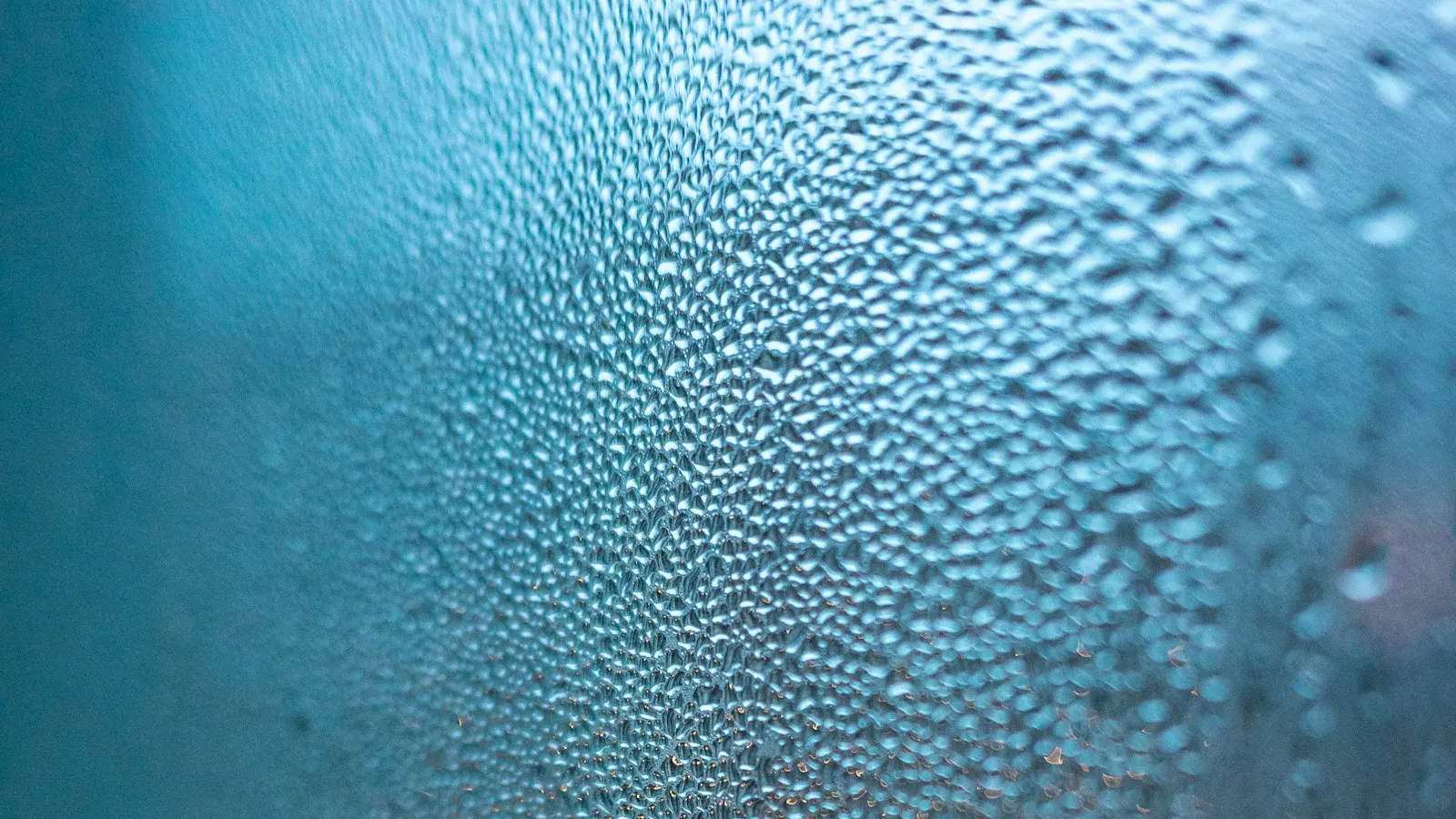 Water droplets covering a pane of glass