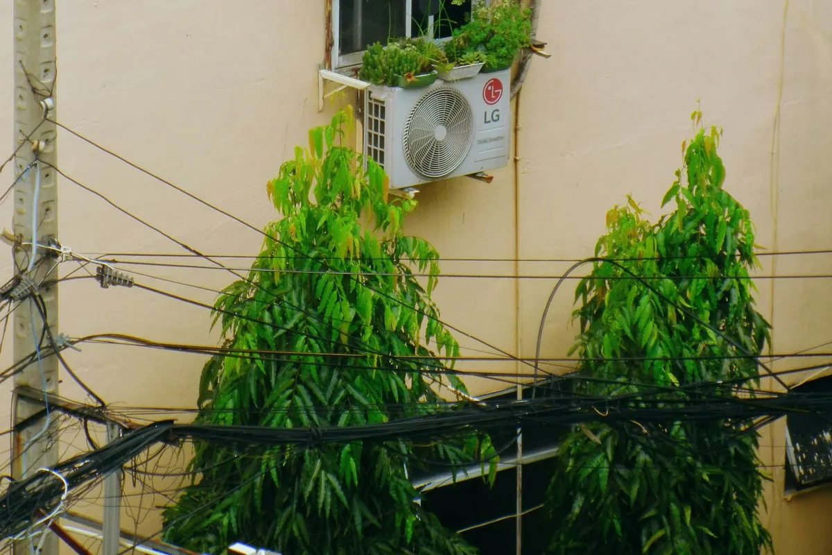 An air conditioner unit mounted outside a window with plants